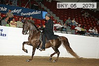 bky_05__2079 proof