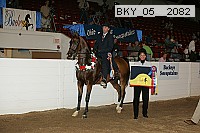 bky_05__2082 proof