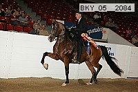 bky_05__2084 proof