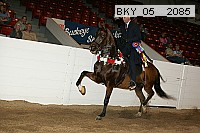 bky_05__2085 proof