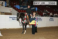 bky_05__2088 proof