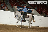 bky_05__2089 proof