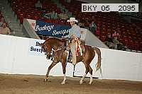 bky_05__2095 proof
