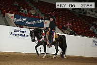 bky_05__2096 proof