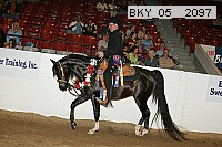 bky_05__2097 proof