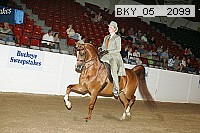 bky_05__2099 proof