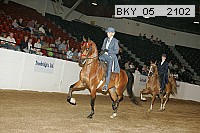 bky_05__2102 proof