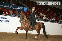 bky_05__2103 proof