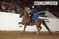 bky_05__2107 proof