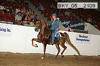 bky_05__2109 proof