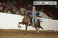 bky_05__2110 proof