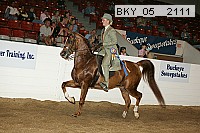 bky_05__2111 proof