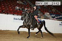 bky_05__2112 proof