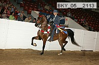 bky_05__2113 proof