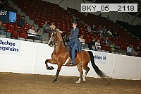 bky_05__2118 proof