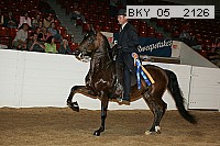bky_05__2126 proof