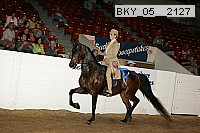 bky_05__2127 proof