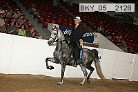 bky_05__2128 proof
