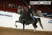 bky_05__2130 proof