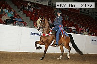 bky_05__2132 proof