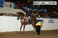 bky_05__2135 proof