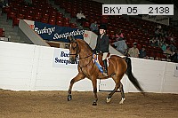 bky_05__2138 proof