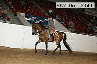 bky_05__2141 proof