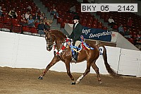 bky_05__2142 proof