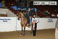 bky_05__2144 proof