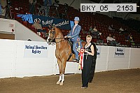 bky_05__2153 proof