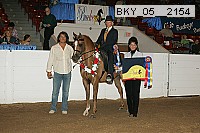 bky_05__2154 proof