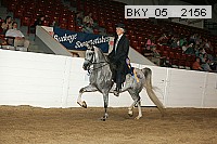 bky_05__2156 proof