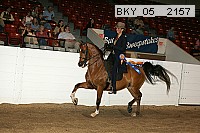 bky_05__2157 proof