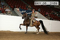 bky_05__2159 proof
