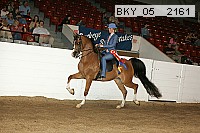 bky_05__2161 proof