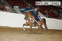 bky_05__2162 proof