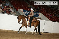 bky_05__2170 proof