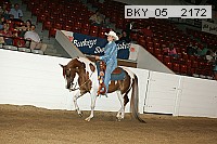 bky_05__2172 proof