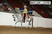 bky_05__2175 proof