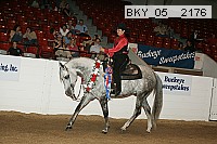 bky_05__2176 proof