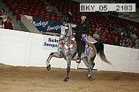 bky_05__2183 proof
