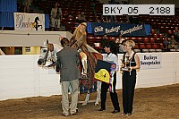 bky_05__2188 proof