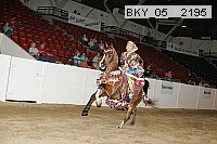 bky_05__2195 proof