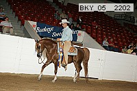 bky_05__2202 proof