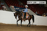 bky_05__2206 proof