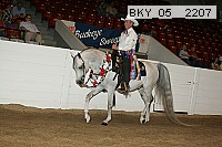 bky_05__2207 proof