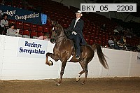 bky_05__2208 proof
