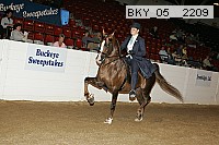 bky_05__2209 proof