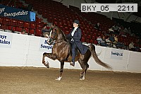 bky_05__2211 proof