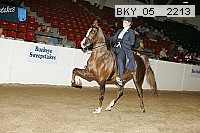 bky_05__2213 proof